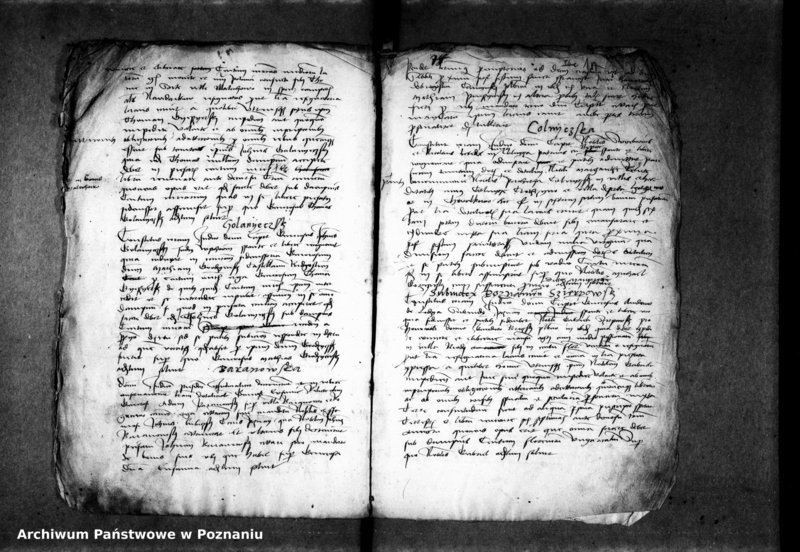 Obraz 19 z jednostki "Inscriptiones, relationes, decreta [protocollon]"