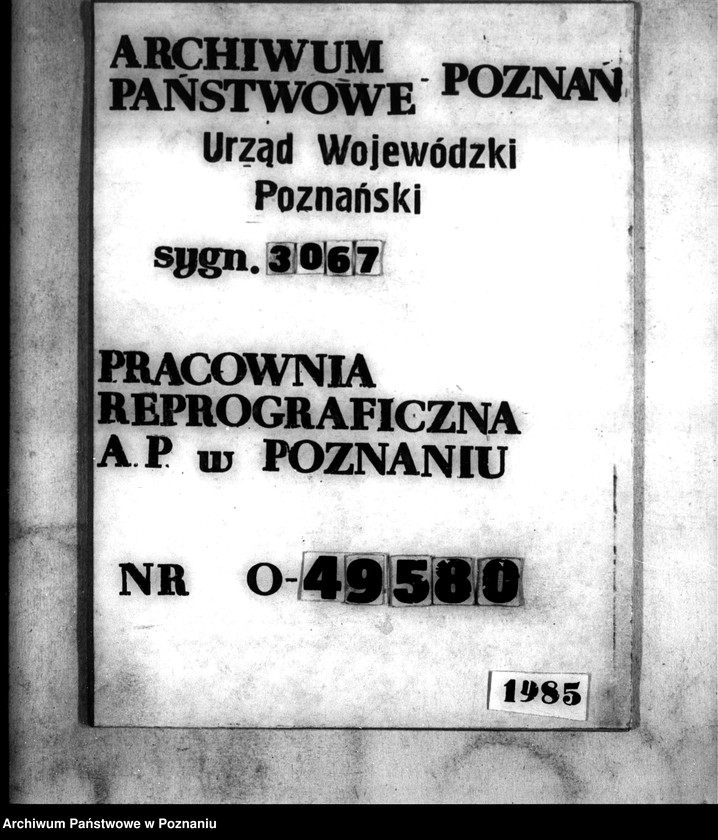 Obraz 1 z jednostki "Parcelacja prywatna majątku Trzeciewnica powiatu wyrzyskiego"