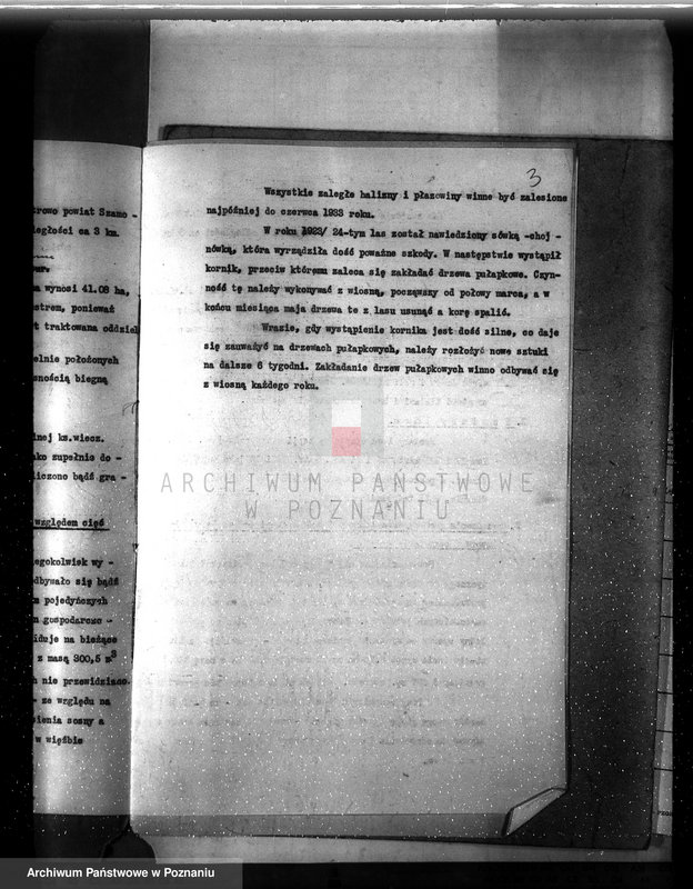 image.from.unit.number "Plan urządzenia gospodarstwa leśnego dla lasu Anny Far w Piotrowie powiat szamotulski 1930-1940"