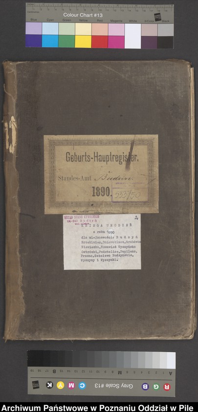 image.from.unit.number "Księga urodzeń"