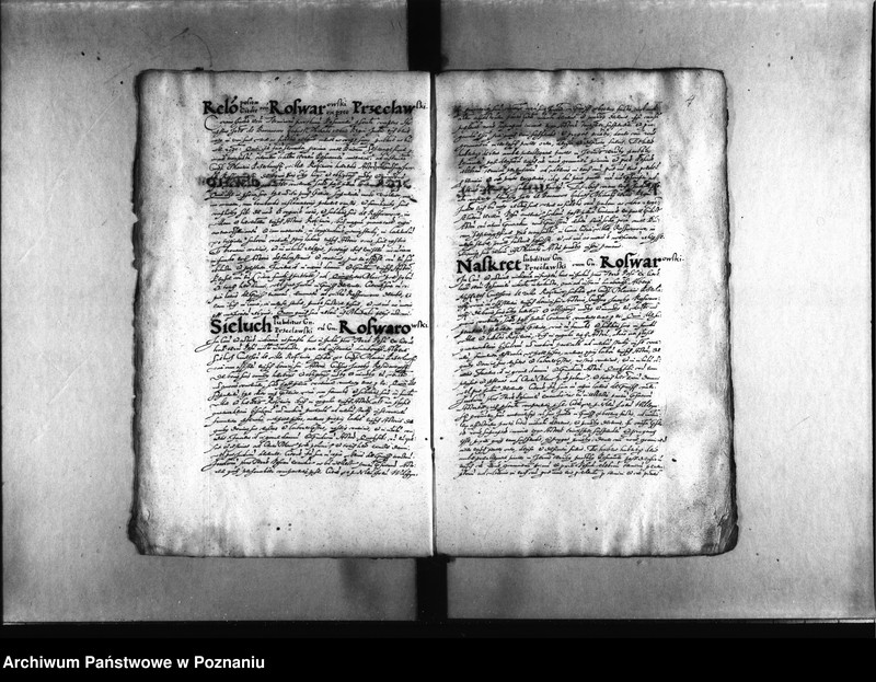 Obraz 7 z jednostki "Decreta [inducta]"