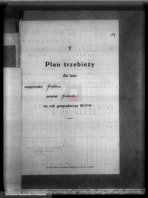Obraz 18 z jednostki "Plan urządzenia gospodarstwa leśnego dla lasu majętności Grąblewo w powiecie nowotomyskim"
