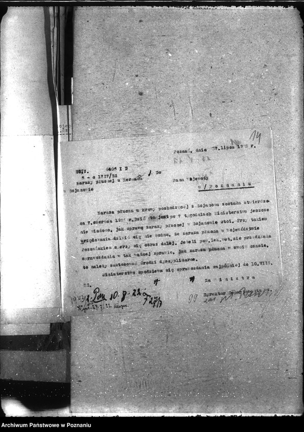 Obraz 18 z jednostki "Zaraza płucna - Rawicz"