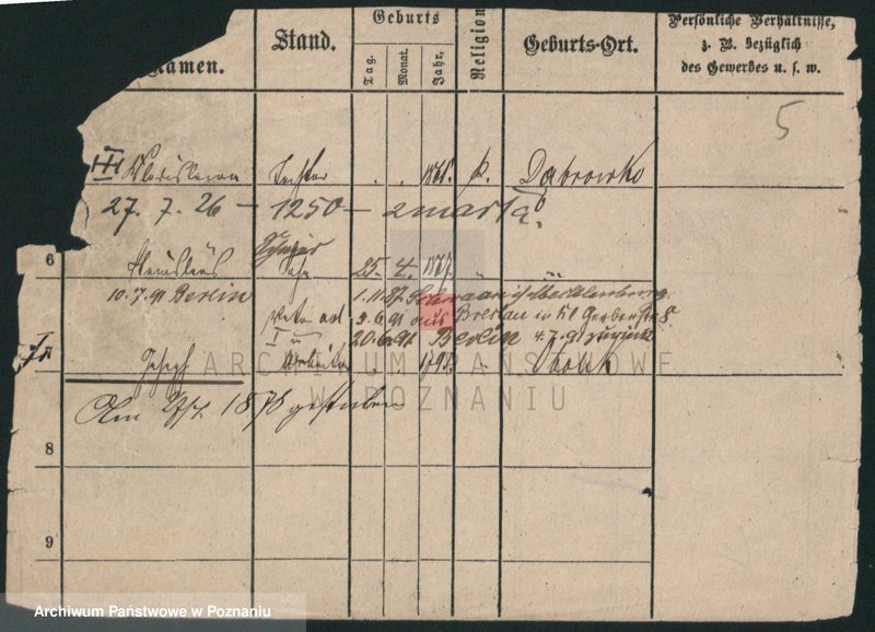 Obraz 5 z jednostki "Lewandowski (żonaci i wdowy)"