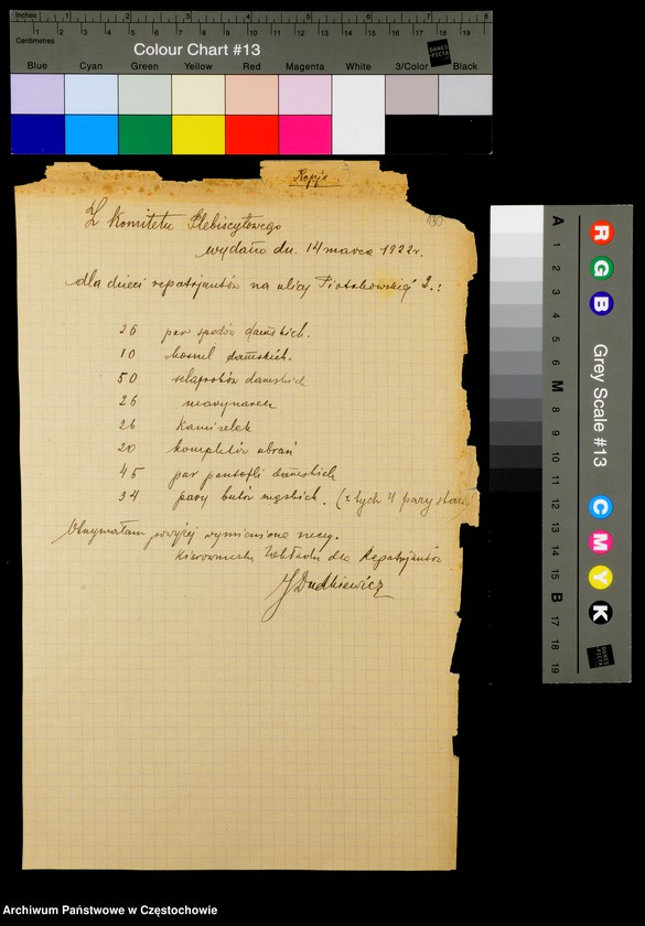 Obraz 6 z kolekcji "105. rocznica plebiscytu na Górnym Śląsku111"