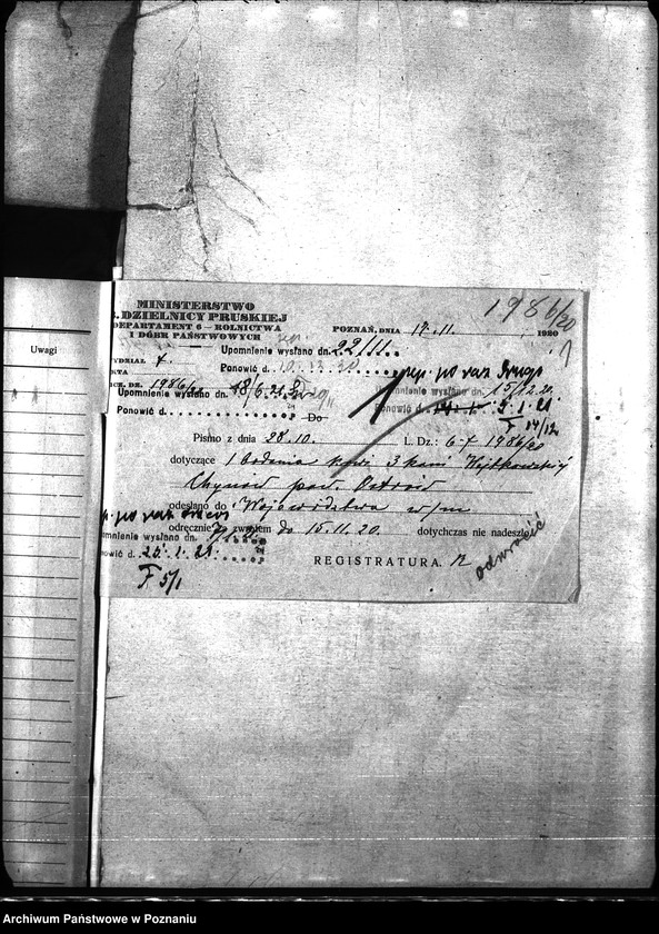 Obraz 5 z jednostki "Nosacizna - Ostrów"