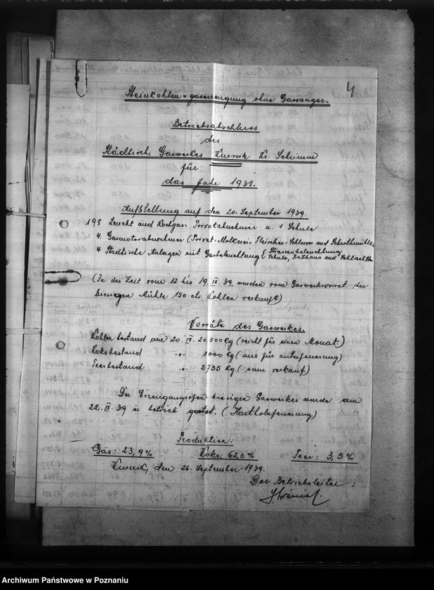 Obraz 8 z jednostki "Gaswerk - Burgstadt (Kórnik)"