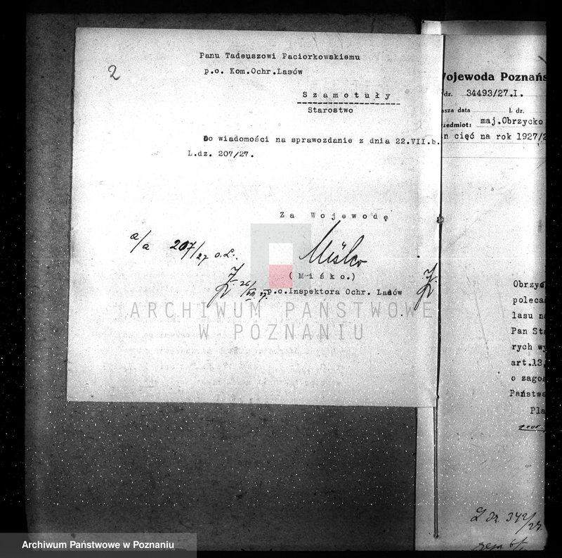 Obraz 6 z jednostki "Ordynacja Obrzycko /nadzór nad gospodarką leśną/"