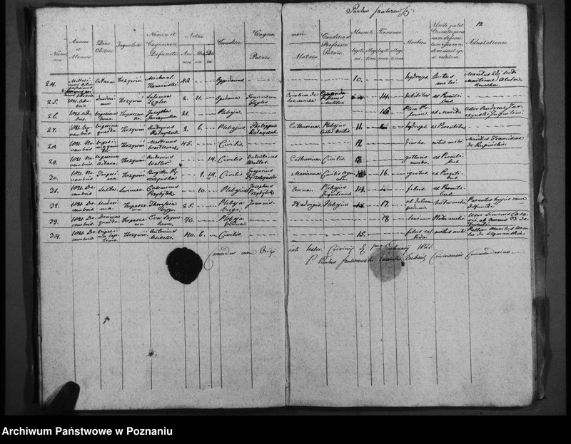 Obraz 13 z jednostki "Duplicatum baptisatorum, copulatorum, mortuorum"