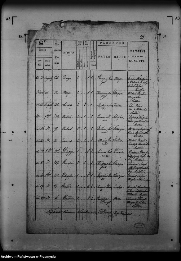 image.from.unit.number "[Kopie ksiąg metrykalnych parafii Zapałów (dekanat Lubaczów)]"