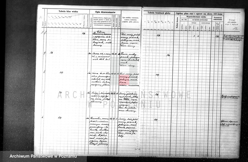 Obraz 15 z jednostki "majętności Sławno czarnkowskim"