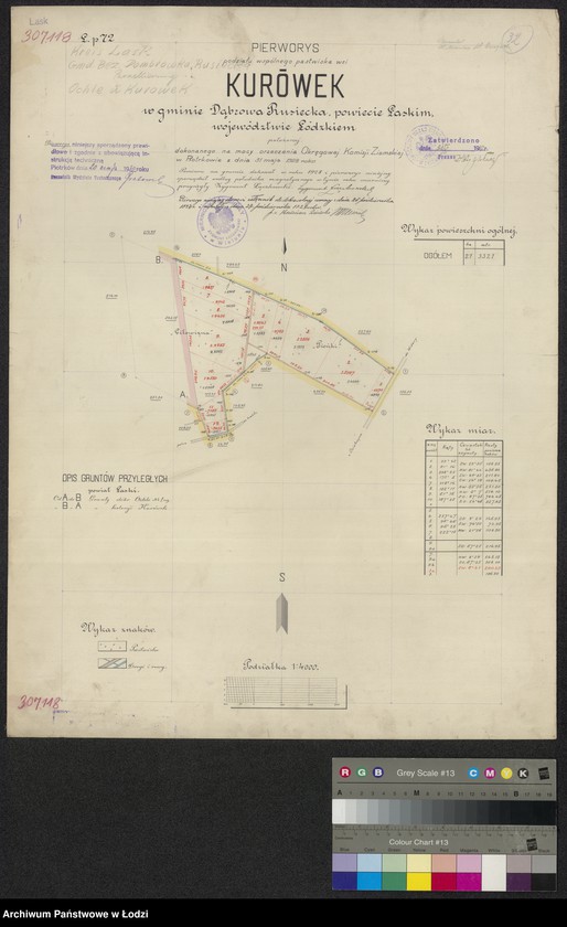 Obraz 1 z jednostki "Pierworys podziału wspólnego pastwiska wsi Kurówek w gminie Dąbrowa Rusiecka, powiecie łaskim, województwie łódzkiem położonej"