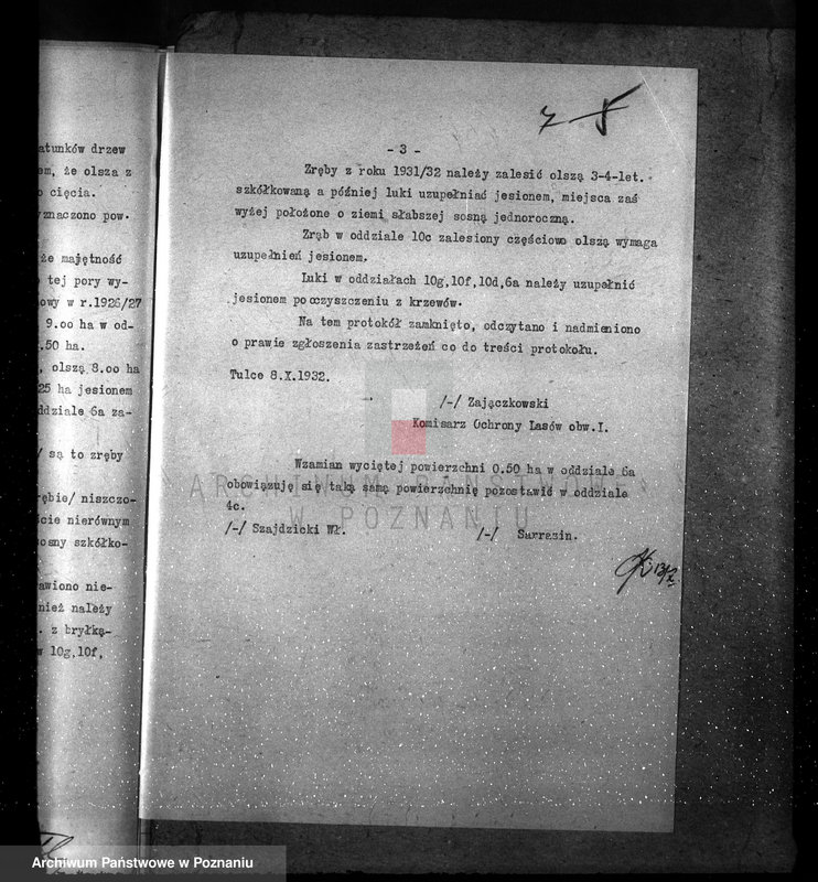 Obraz 11 z jednostki "Nadzór nad gospodarką w lasach majętności Tulce powiat średzki"