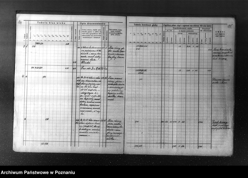Obraz 12 z jednostki "Plan urządzenia gospodarstwa leśnego dla lasu majętności Kuleczyn w powiat nowotomyski 1933-1943"