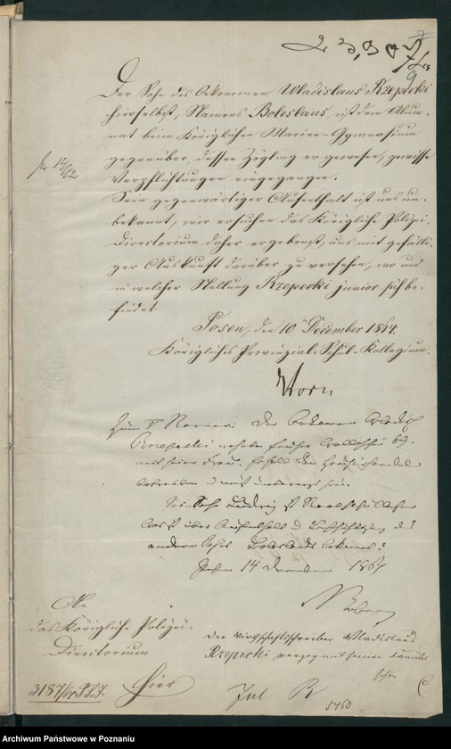 Obraz 14 z jednostki "A. betr. Familie Rzepecki /vermutlich/"