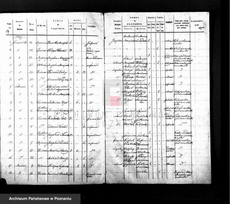 Obraz 12 z jednostki "Duplikat baptisatorum, copulatorum, mortuorum"