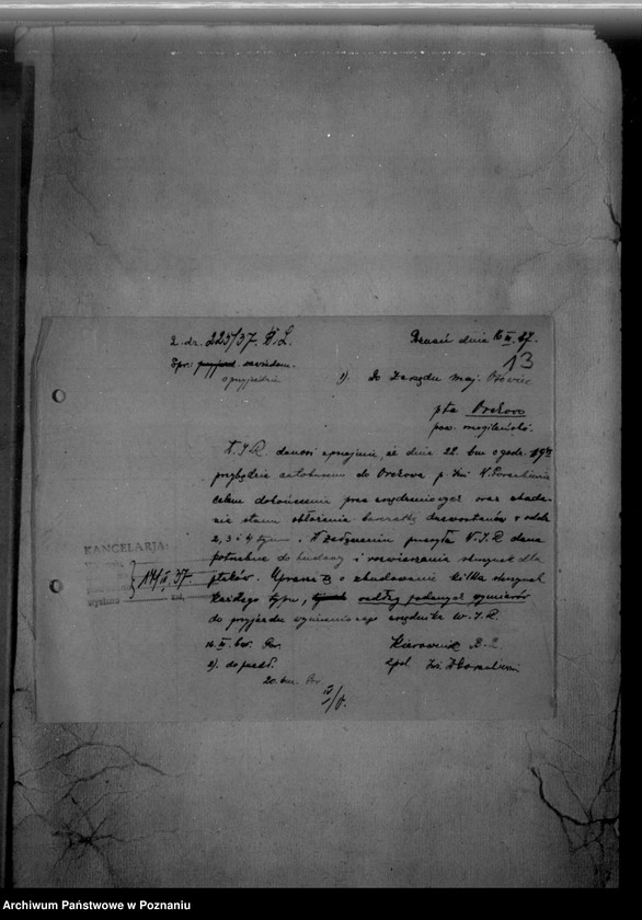 Obraz 17 z jednostki "/Majętność leśna/ Ossowiec/ powiat mogileński"