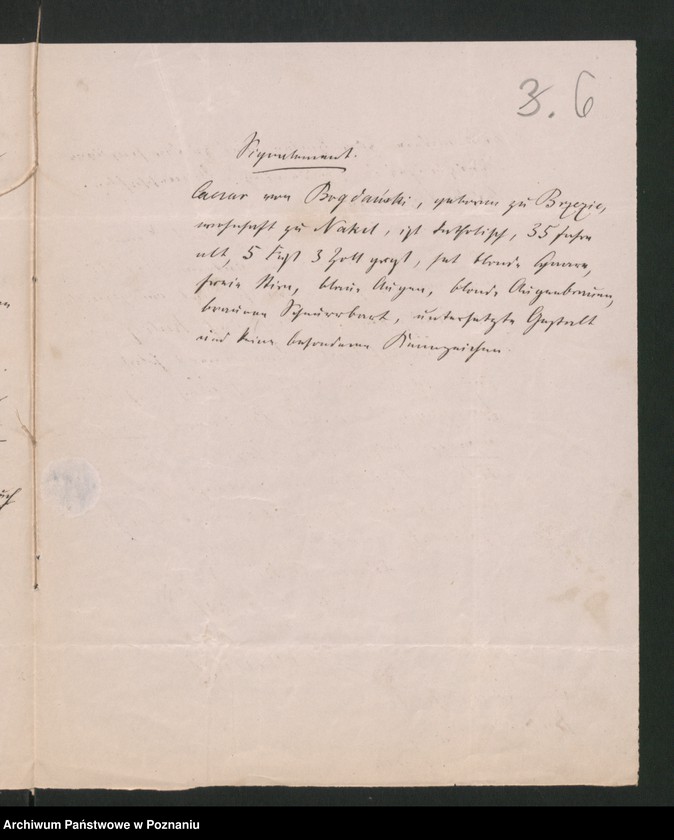 Obraz 9 z jednostki "A. betr. den Rentier Caesar von Bogdanski"