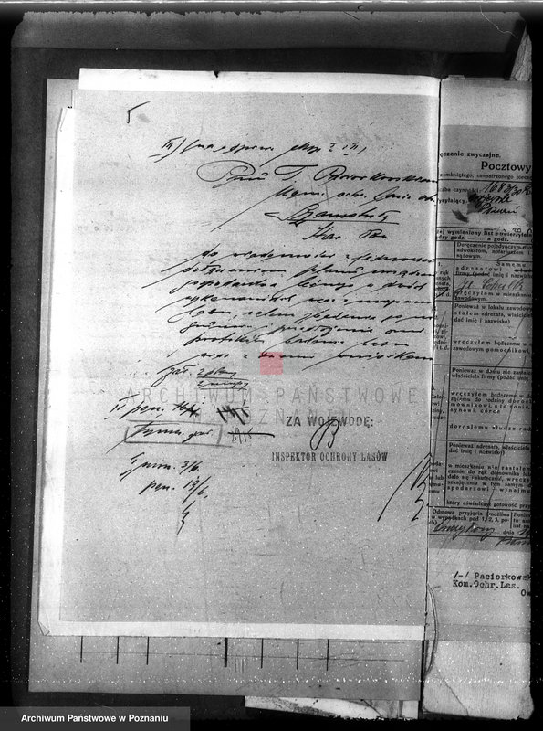 image.from.unit.number "Las majętność Ocieszyn powiat obornicki"