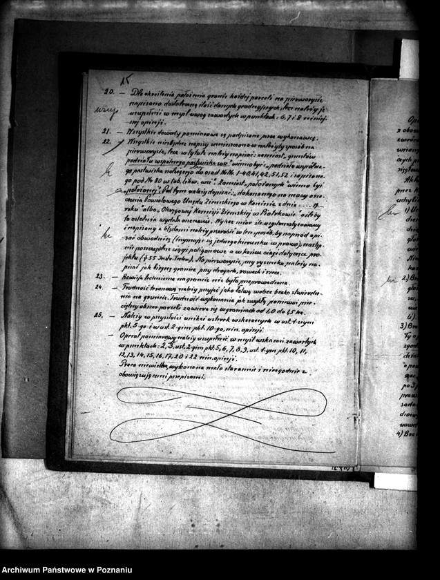 Obraz 20 z jednostki "Podział wspólnego pastwiska wsi Oleśnica powiatu konińskiego"