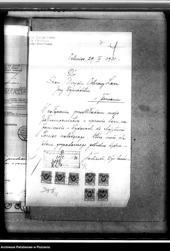 Obraz 11 z jednostki "Lasy majętności Wydawy w powiecie gostyńskim"