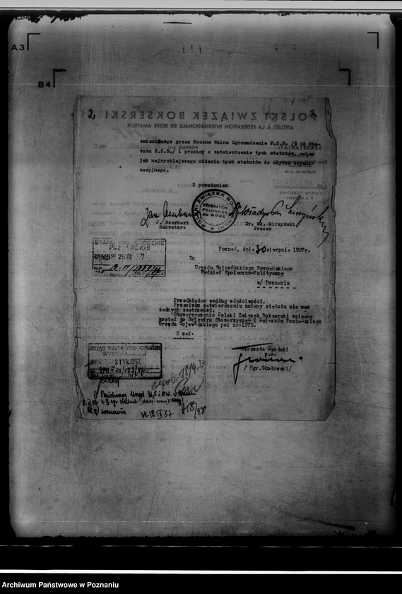 Obraz 6 z jednostki "/Polski Związek Bokserski w Poznaniu/"