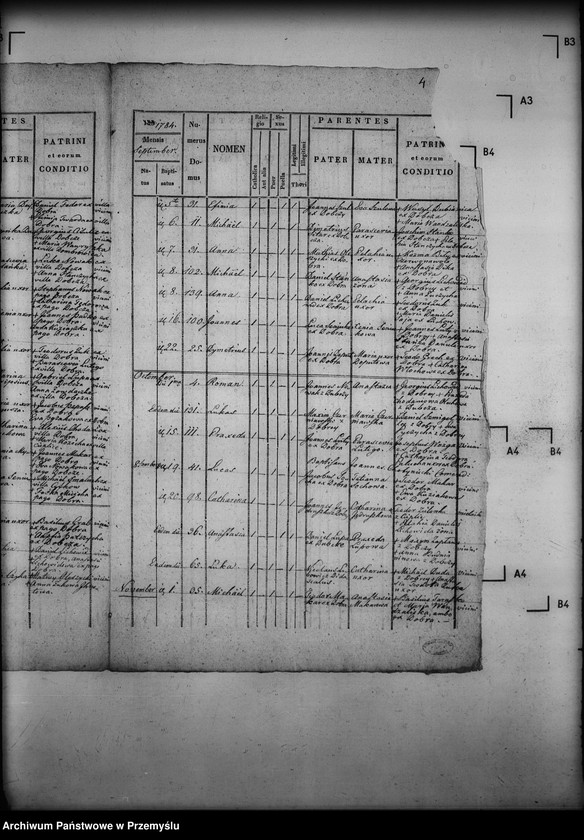 Obraz 8 z jednostki "[Kopie ksiąg metrykalnych parafii Dobra (dekanat Sieniawa)]"