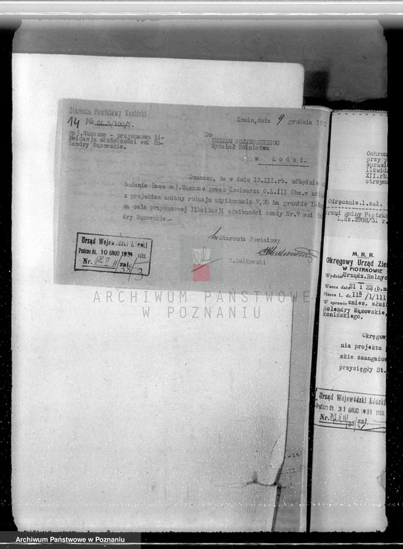 Obraz 19 z jednostki "Sprawa przymusowej likwidacji służebności osady nr 7 Holendry Wąsowskie w lasach majątku Wąsosze /powiat koniński/ oraz nieprawnego wyrębu"