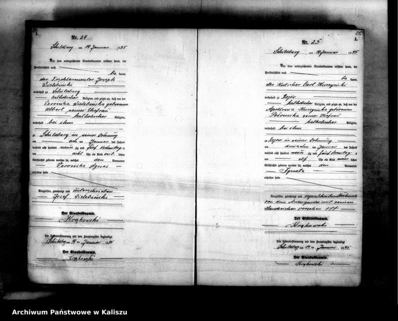 image.from.unit.number "[Księga urodzeń]"