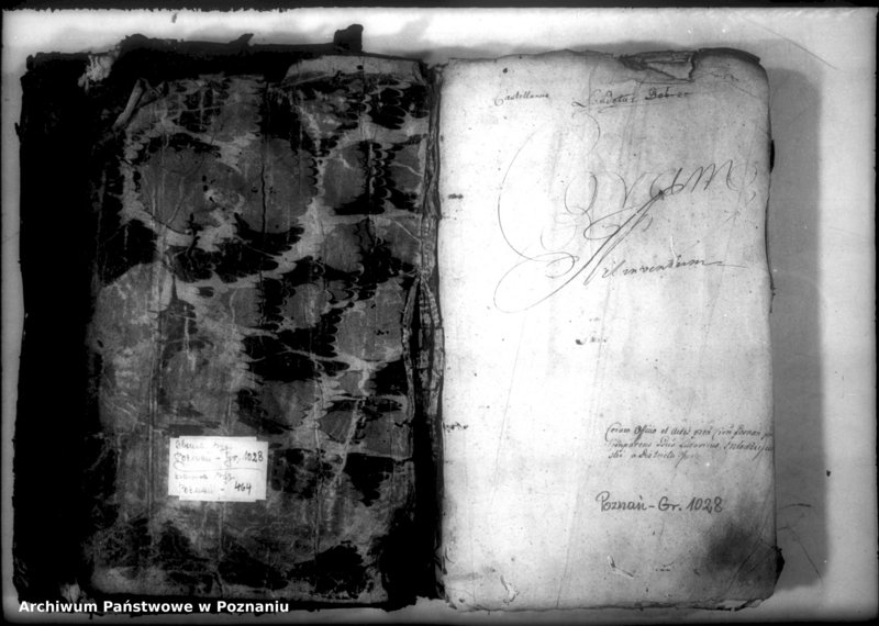 Obraz 3 z jednostki "Relationes [protocollon]"