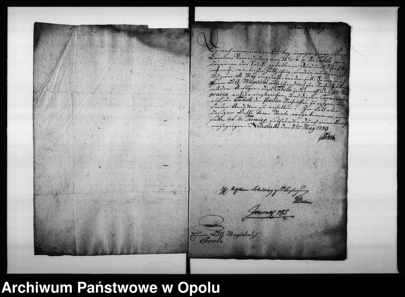 Obraz 10 z jednostki "Acta des Magistrats zu Oppeln von den Fixirten monatlichen Eingaben und der Termins Tabelle"