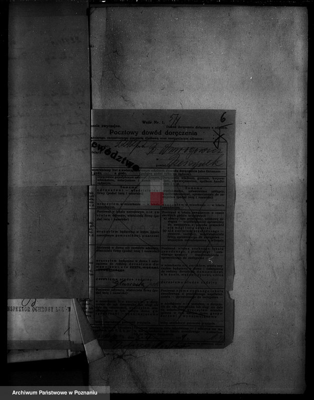 Obraz 11 z jednostki "/Majętność leśna Rzeszynek powiat mogileński"