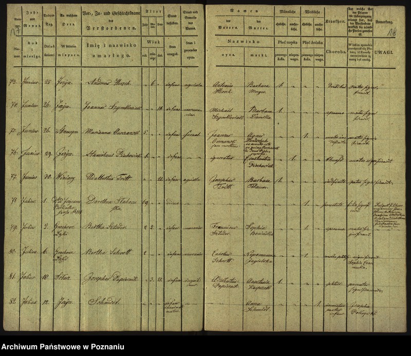 Obraz 12 z jednostki "Księga zgonów"