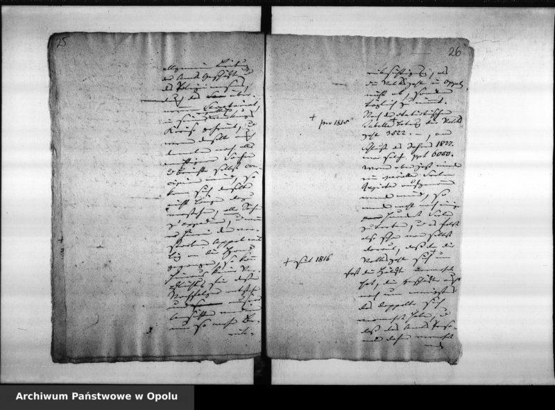 Obraz 19 z jednostki "Acta des Magistrats zu Oppeln betreffend die Besetzung des vacanten Secretair und Registrators Postens. de anno 1828"