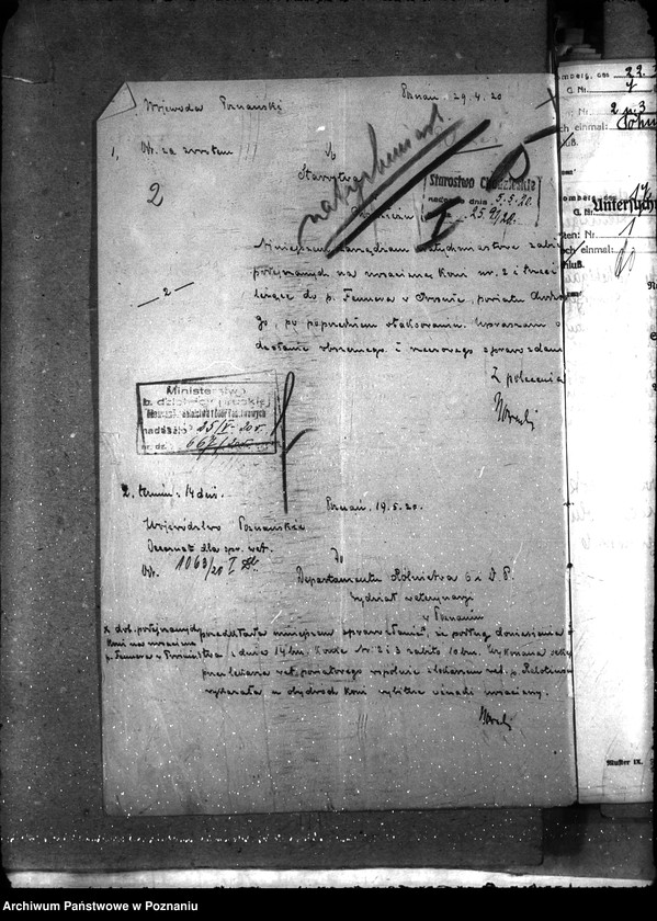 Obraz 7 z jednostki "Nosacizna - Chodzież"