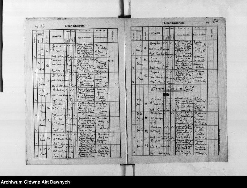 image.from.unit.number "Parafia: Skałat. Dekanat: Skałat. Księga metrykalna urodzeń dla wsi Panasówka*."