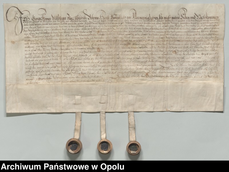 Obraz z jednostki "Poświadczenie kupna młyna w Zawiszycach [Sabschütz] przez Jerzego Kinnera od Hansa Hartmann."