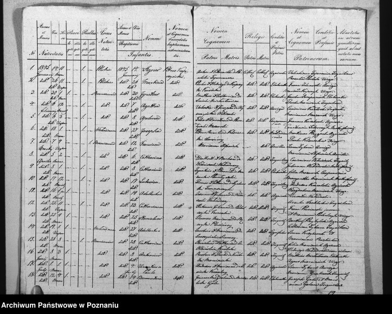 image.from.unit.number "Duplikat urodzonych, zaślubionych i zmarłych"
