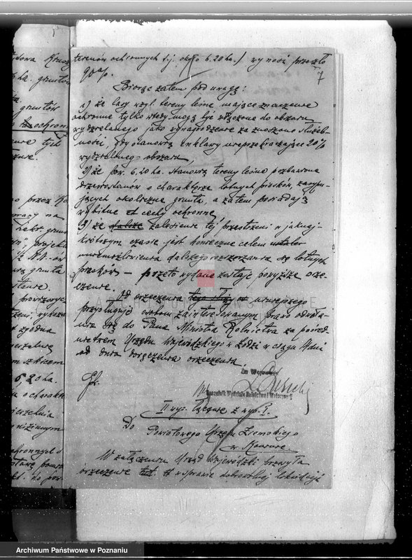 Obraz 11 z jednostki "Majątek Staremiasto powiat koniński /nadzór nad gospodarką leśną/"