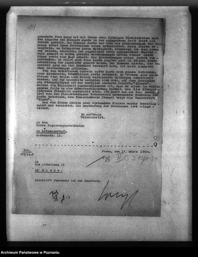 Obraz 18 z jednostki "Trichinose, Typhus"