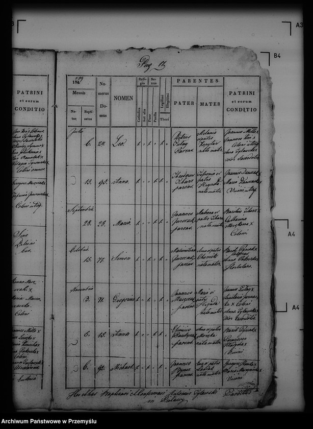 Obraz 15 z jednostki "[Kopie ksiąg metrykalnych parafii Puławy (dekanat Buków)]"