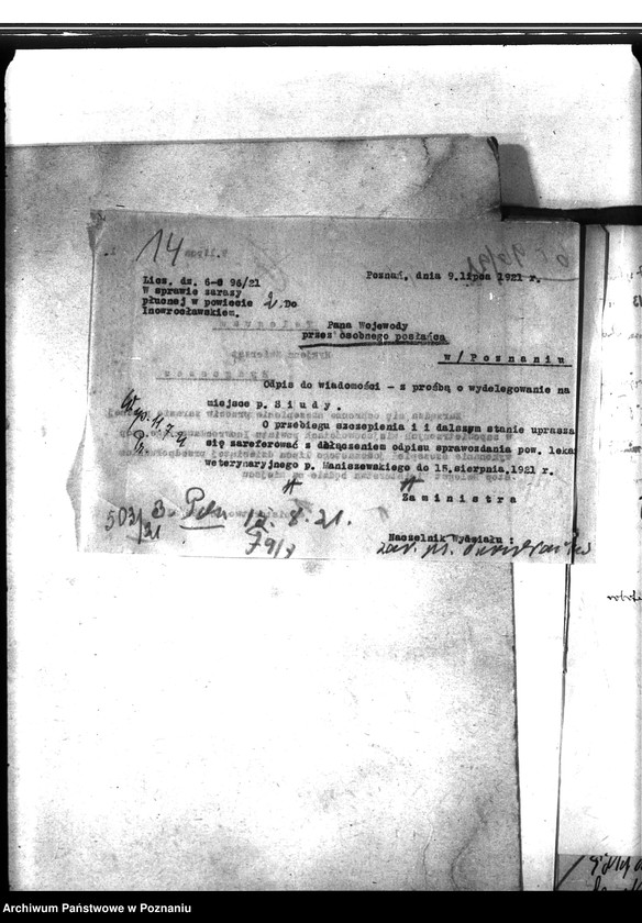 Obraz 19 z jednostki "Zaraza płucna - Inowrocław"