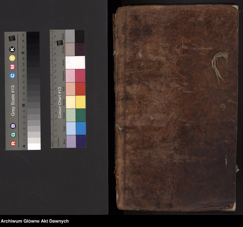 image.from.unit.number "Rejestry poborowe woj. bełskiego i z. chełmskiej."