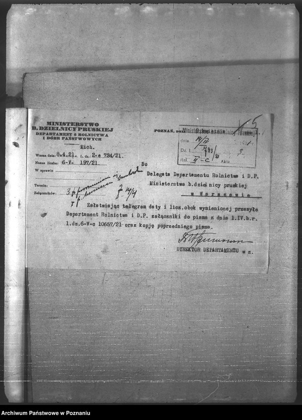 Obraz 9 z jednostki "Ogólne"