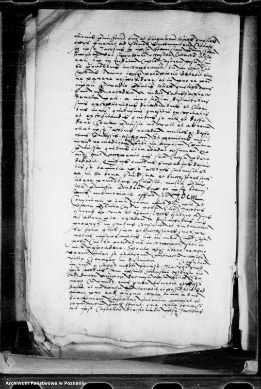 Obraz 20 z jednostki "Inscriptiones, relationes, decreta [inducta]"