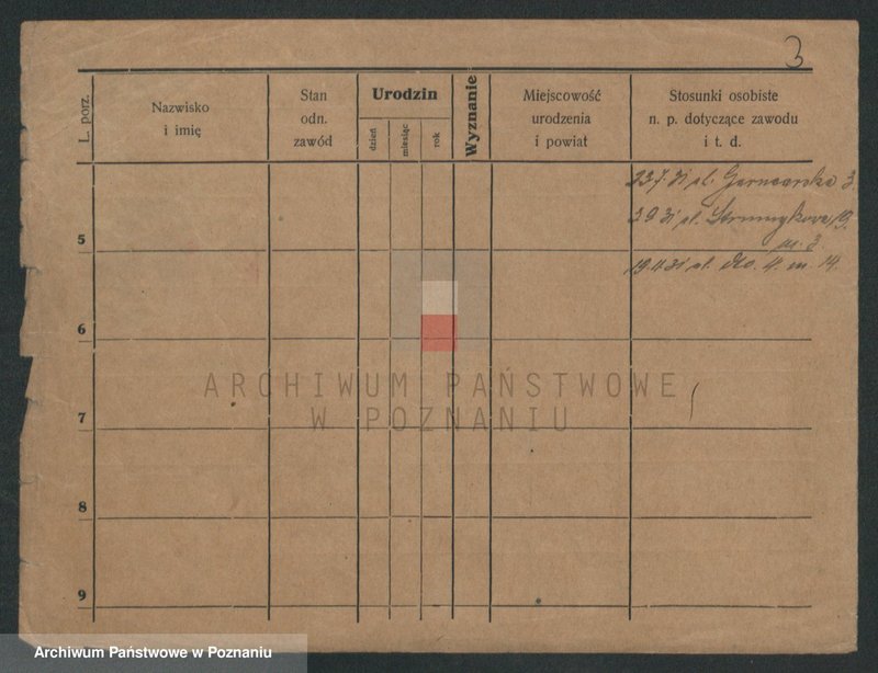Obraz 9 z jednostki "Witczyk - Witkamp"