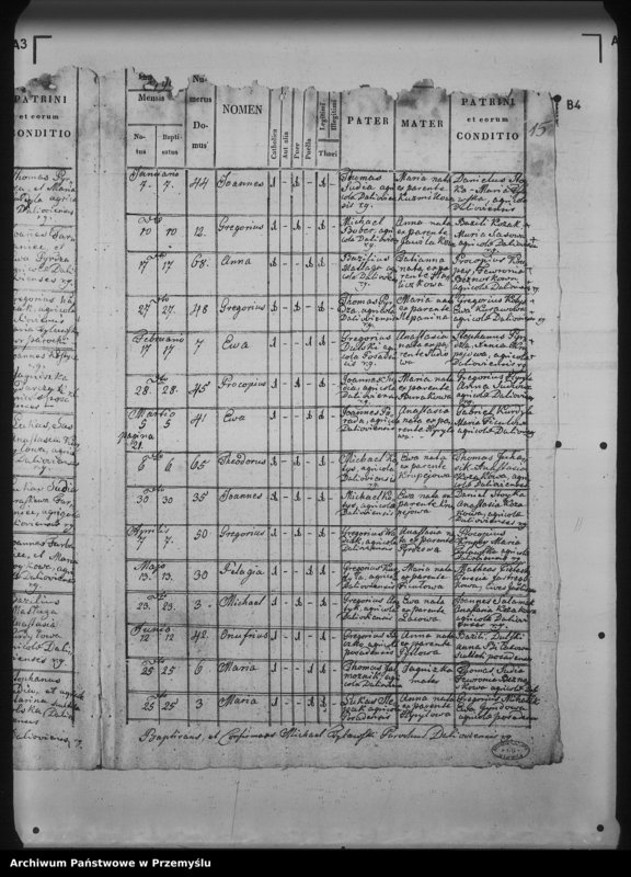 Obraz 19 z jednostki "[Kopie ksiąg metrykalnych parafii Daliowa z filią Szklary (dekanat Rymanów)]"