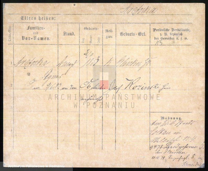 Obraz 15 z jednostki "Arędzka - Arndt"