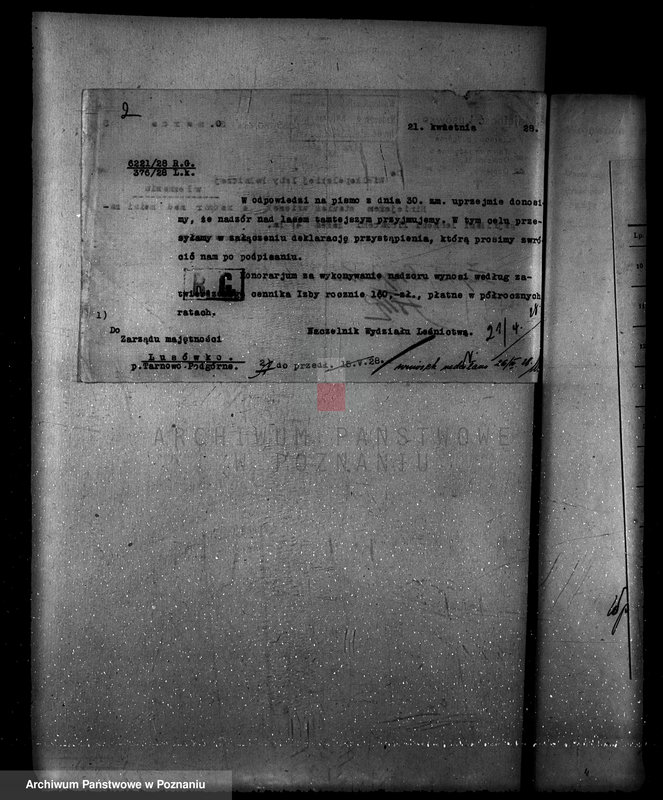 Obraz 6 z jednostki "Zarząd majętności Lusówko powiat poznański/ nadzór nad gospodarką leśną/"