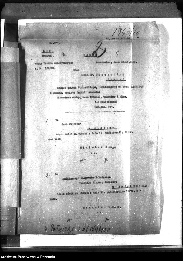 Obraz 10 z jednostki "Nosacizna - Inowrocław"